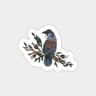 Tui Bird Sticker